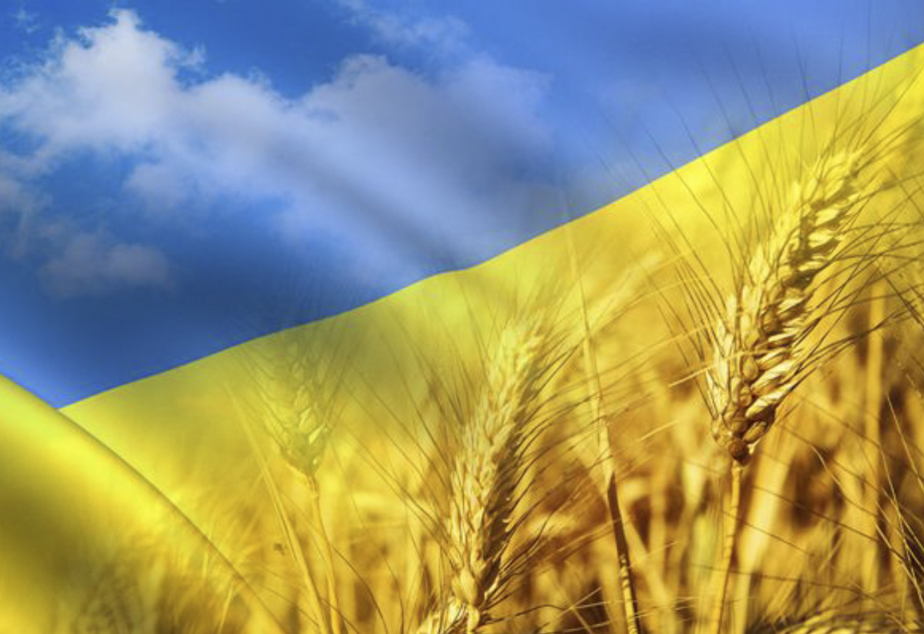 Вітаємо з Днем Незалежності України!