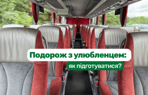 Як підготувати домашню тварину до міжнародної автобусної подорожі