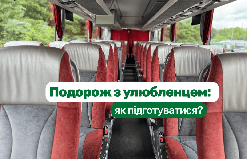 Як підготувати домашню тварину до міжнародної автобусної подорожі